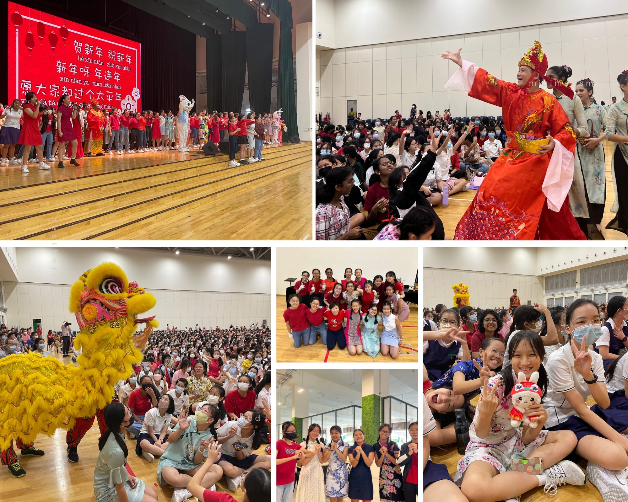 Students celebrate Chinese New Year with lion dance, red costumes, a performer in traditional robes, and group photos.